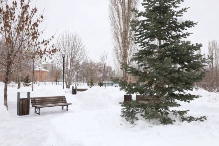 Зимние краски