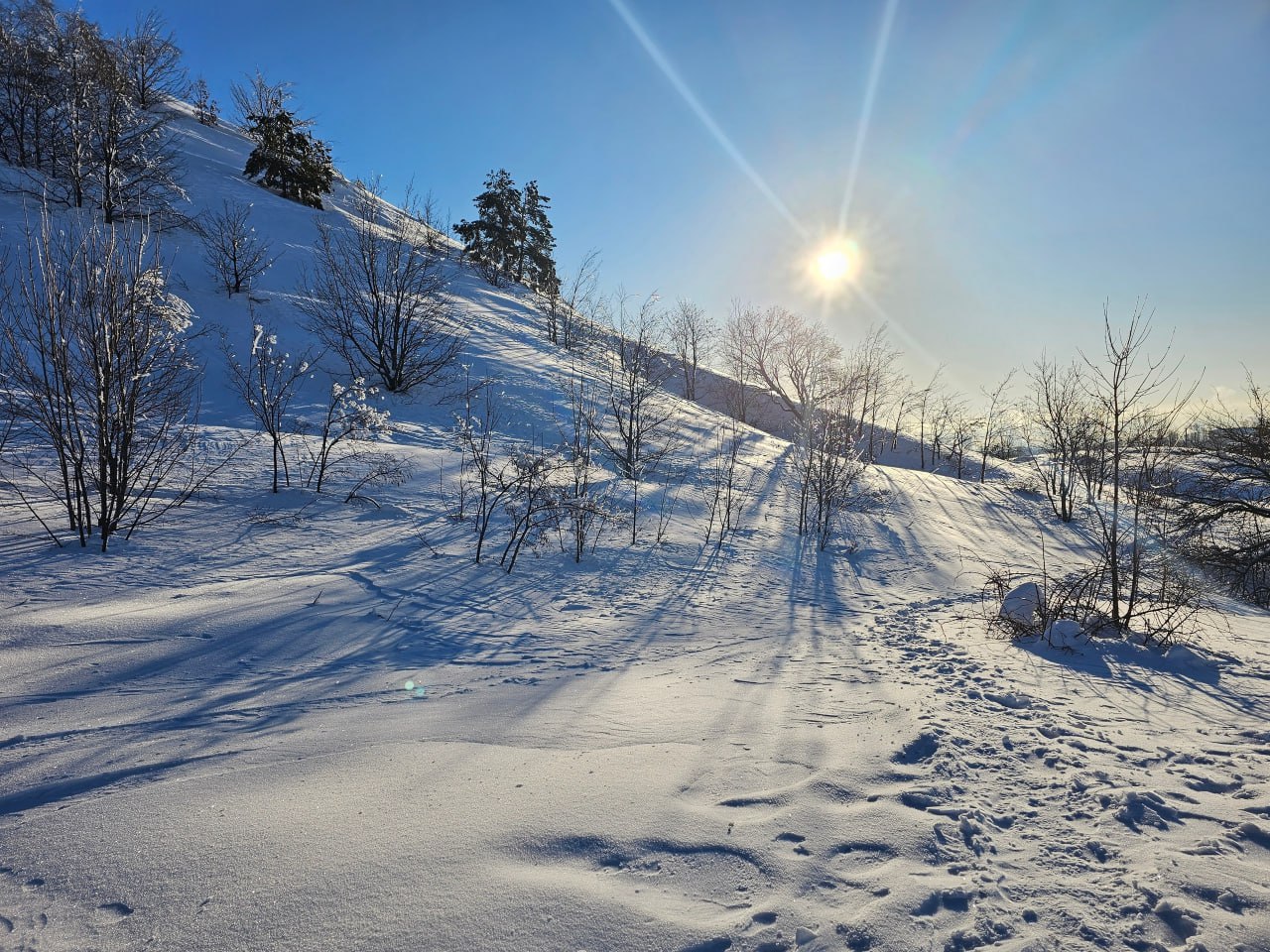 Юные туристы отправились покорять зимнюю тайгу