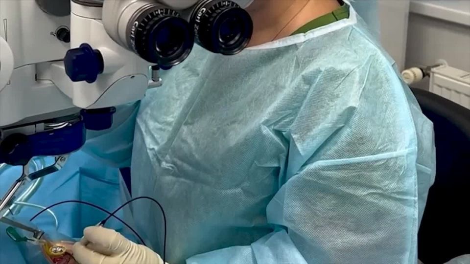 ����� ����� ������ ����������� ���������