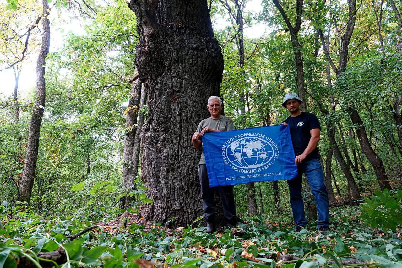 Саратовский 380-летний дуб включили в национальный реестр старовозрастных деревьев России Саратовский 380-летний дуб включили в национальный реестр старовозрастных деревьев России