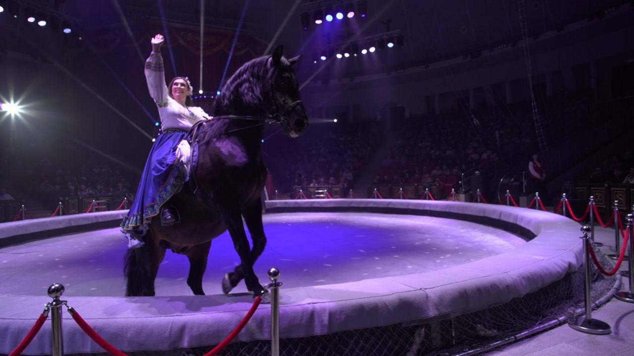 Представители старшего поколения посетили цирковое представление Представители старшего поколения посетили цирковое представление
