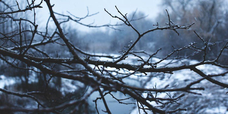 � ����������� ������� ������������ �������� ������ � ����������