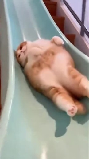 ظ� ������ ���� ���������)