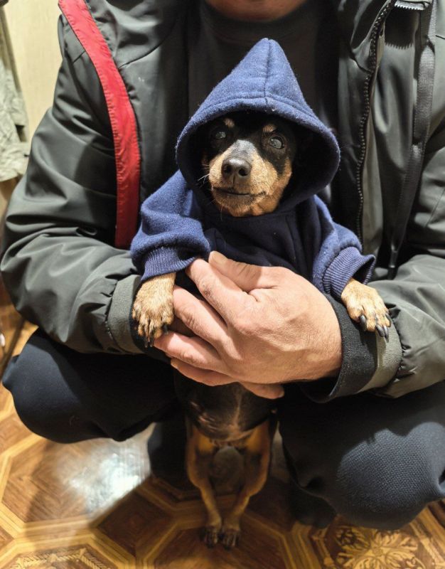 � ����� 18 ������� 2026 ���� �� ���������� ������� ��������� ���������� ����������