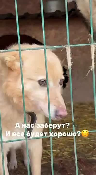 Смотри выпуск «Пора домой» сегодня в 1900 на телеканале «Саратов 24»