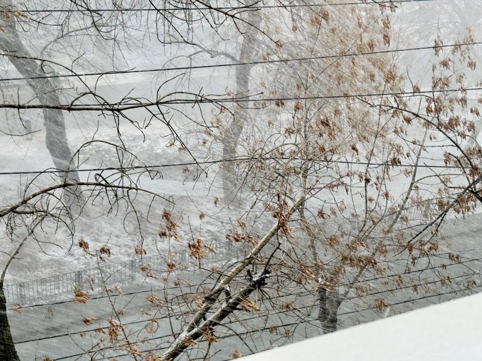 ���������� ������������� � ������� ����� � ������