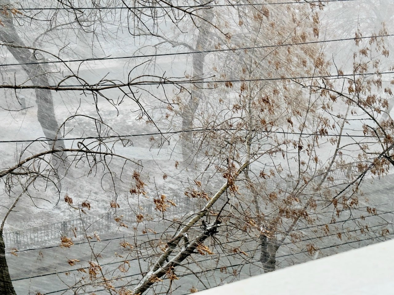 Саратовцев предупреждают о сильном ветре и метели