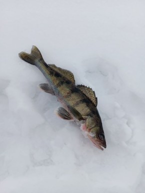 �����, ����� � ��������: ����������� �������� ��������� ����� ������� ������ ��������