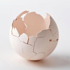 ������ ��������: ������� ���������, ������� �� ����� �� ������������ �� ����� �������