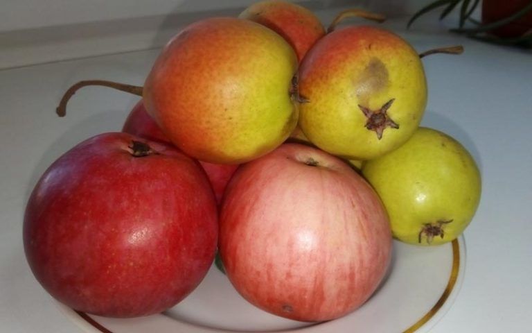 ������������ �������: ��� ��������� ���� ����� � ������, ����� �������� ��������