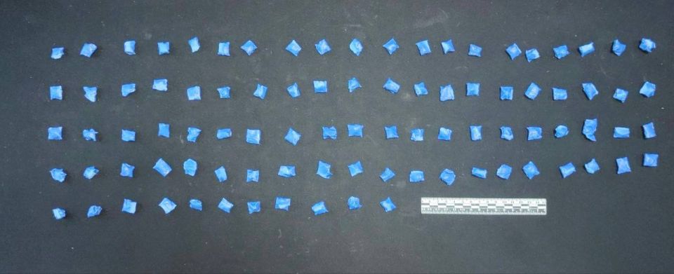 ������������ ���������� ������������� ������������� ������ �������� ���� ��������