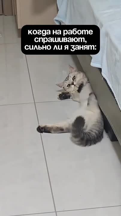 Кому знакомо?)