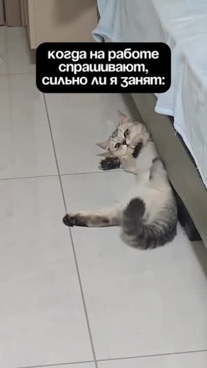 Кому знакомо?)