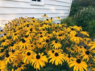 ��������: ����� ������ ����� � ����� ����