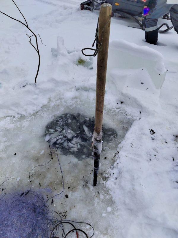 � ������� ������������� ������������ �������� ���� �������������