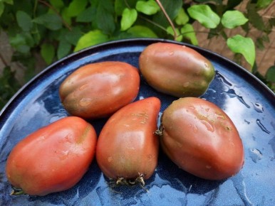 ����� ���� ���������: ��� ����� ������� ���� ��� ������� � ����������� �������