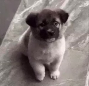 ����������� ������������ ����������, ��� ����� ����������� ����������� � 23 ������� � 8 �����