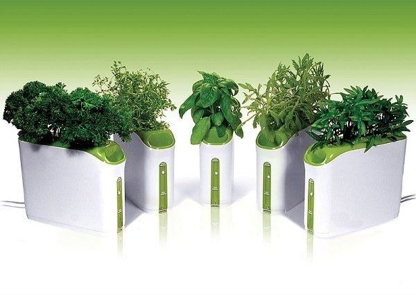 Гидропоника: секреты успешного выращивания растений в домашних условиях