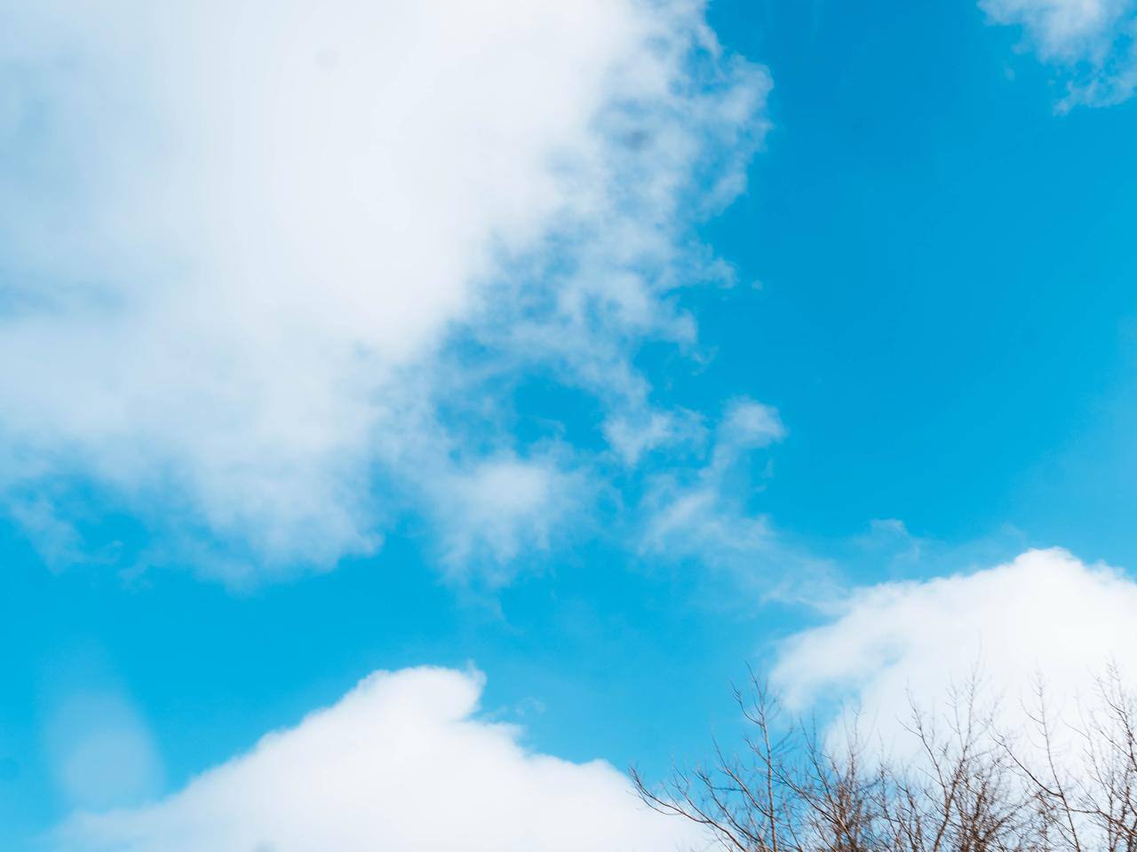 Февраль шепчет нам о марте Февраль шепчет нам о марте