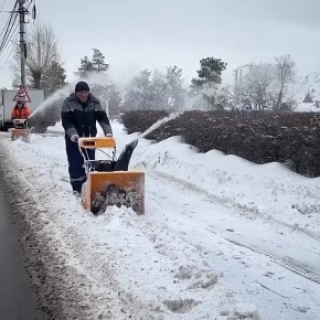 � ������ ���������� ���� ������ ���������� � ����� �����������