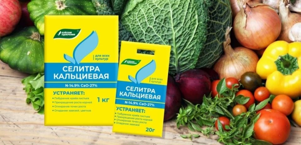 Секреты Кальциевой Селитры: Как Удвоить Урожай Томатов и Избежать Ошибок