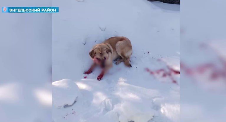 ��������� ���������� �������: � ����������� ������ ��������� ���� ����� ������ ��� �������