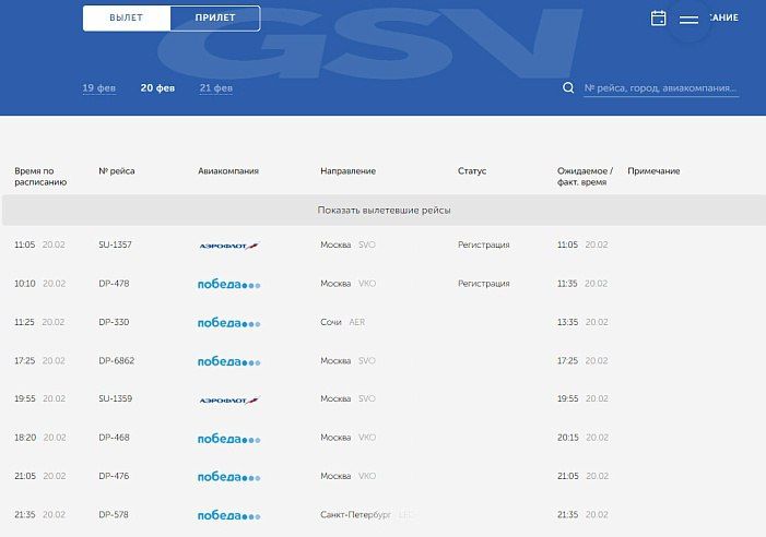 Из-за снегопада в Москве задержали 6 саратовских рейсов