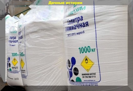 Без азота ничего не растет: секреты успешного органического земледелия