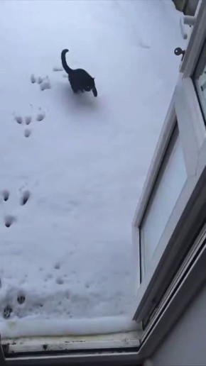 � �������� ���������� ���� ����������� � ����������