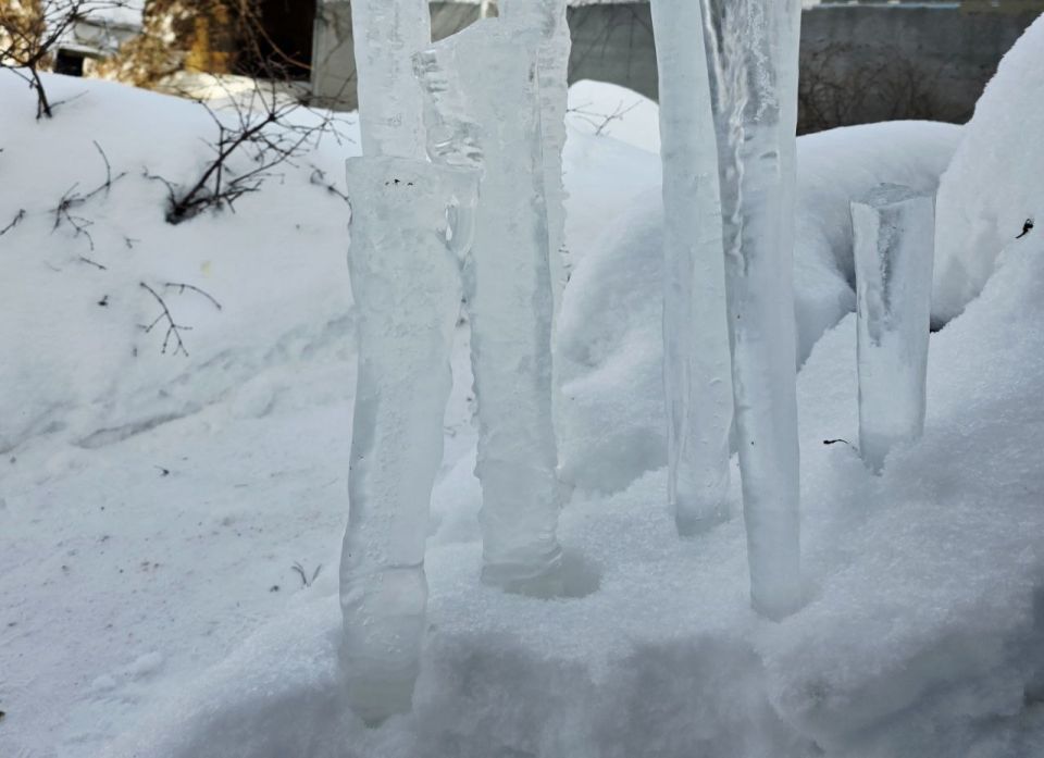 � ����������� 22 ������� 2026 ���� � ����������� ������� ����������