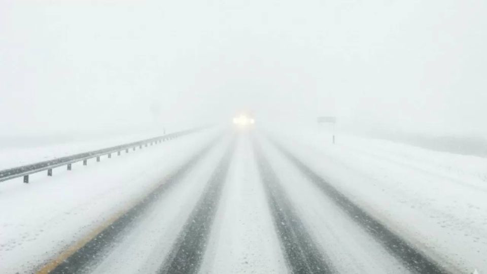 �� ������ �������������� 22.02.2026 �� ���������� ����������� ������� �������� ������, � ������������