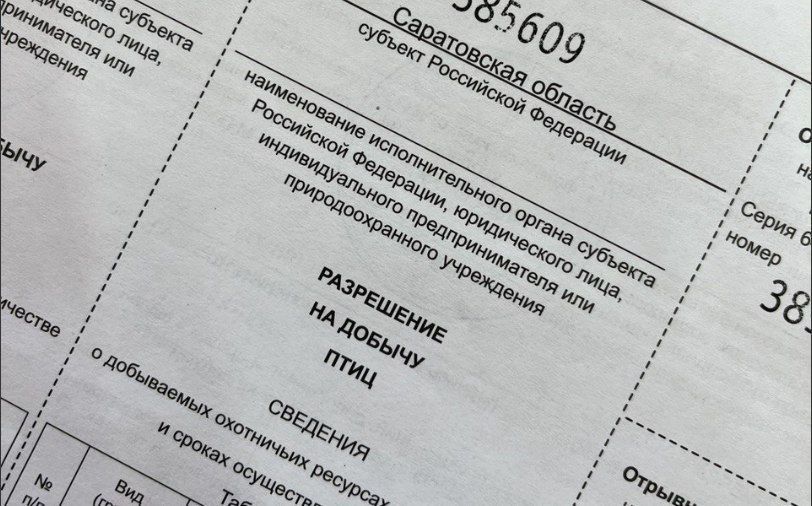 ��������� ����������, ��� �������� ���������� �� �������� �����