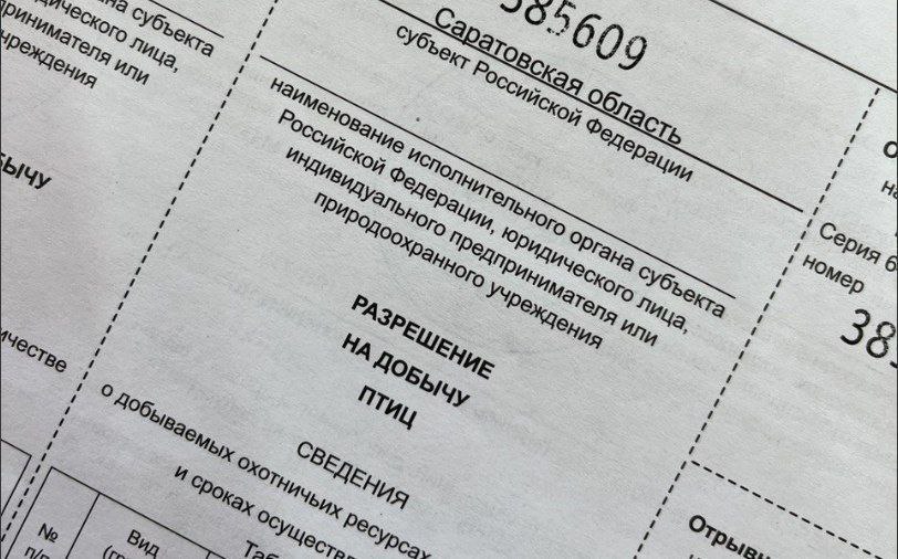 Охотникам рассказали, как получить разрешение на весеннюю охоту