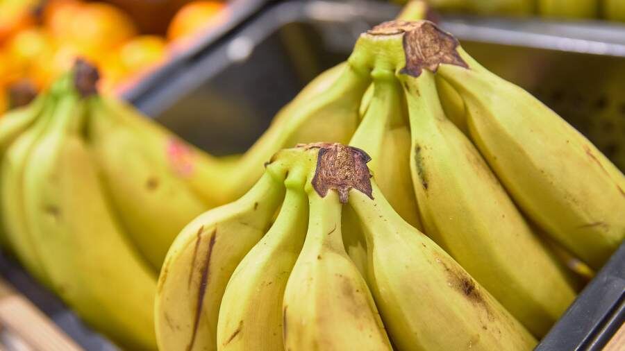Росстандарт утвердил новый стандарт на бананы