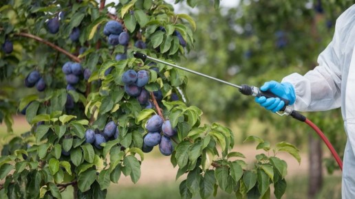 ����������� ������� ������� ����: ��� ��������� ����� � ��������� ���������