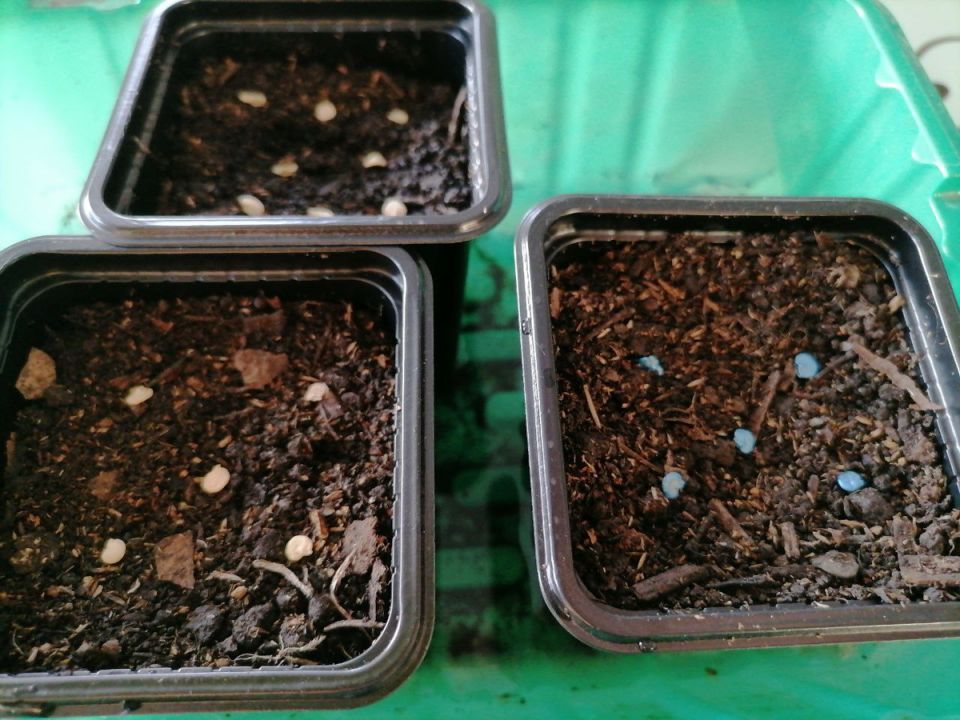 ��� ��������� ������ �����: ������� ������ ��� ��������� ��������