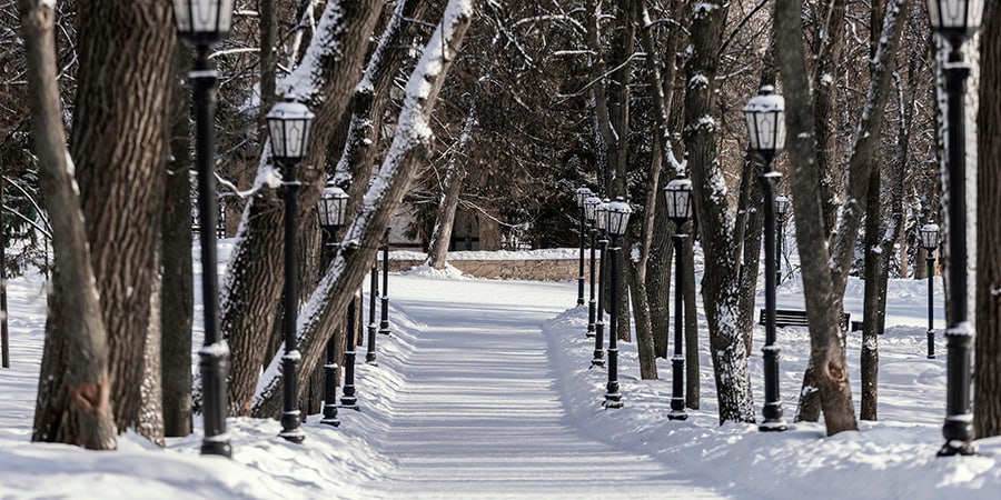 В Саратове праздничный выходной пройдет с температурой до -9 градусов