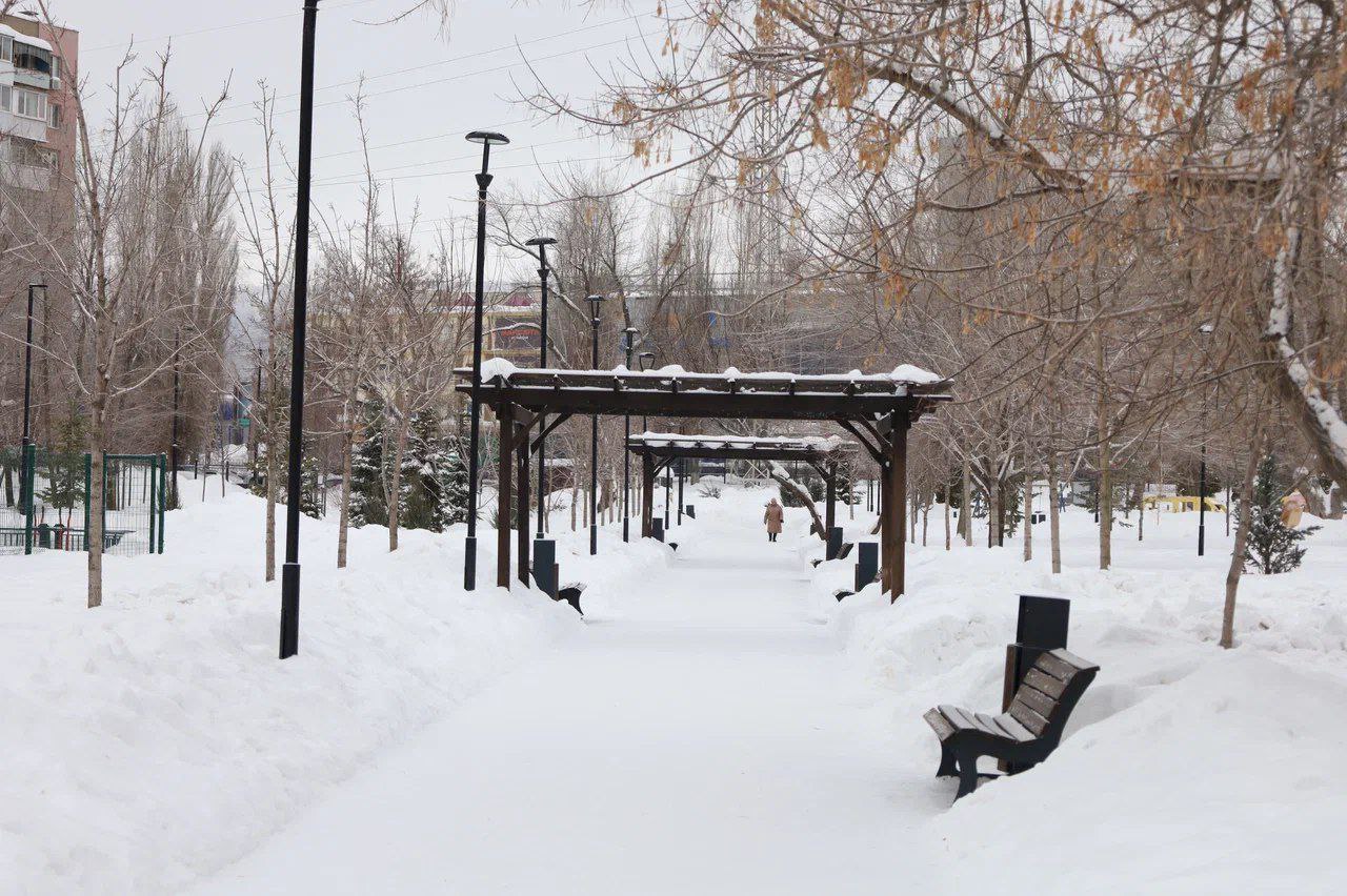 Птицы уже поют о весне Птицы уже поют о весне