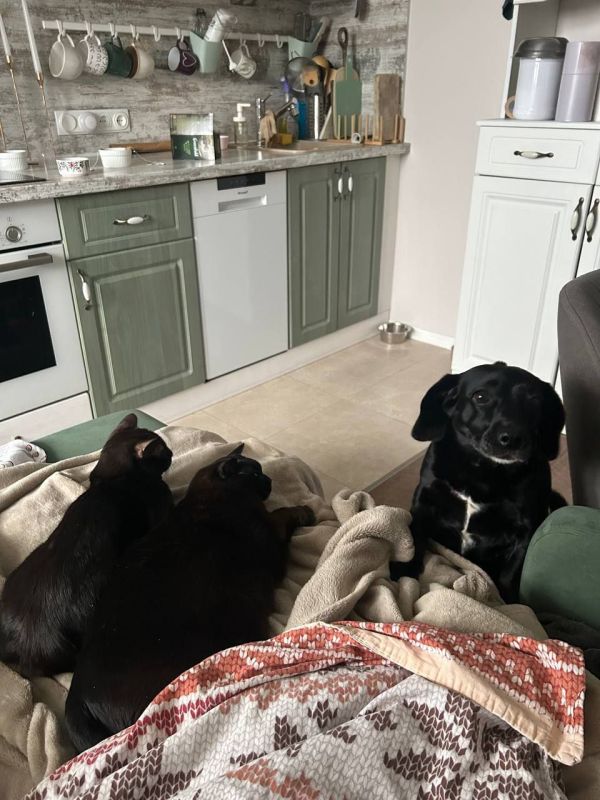 �� ��� ���������, ������ � ������� ������?