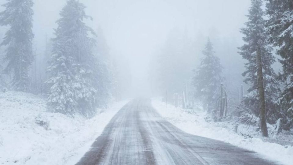 �� ������ �������������� 24.02.2026 �� ���������� ����������� ������� �������� ������, � ������������