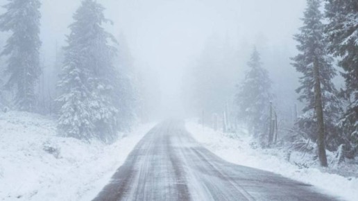 �� ������ �������������� 24.02.2026 �� ���������� ����������� ������� �������� ������, � ������������