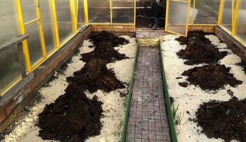 ��� ������� ����� � ������� ������ � �����������: ������� ������� ����������