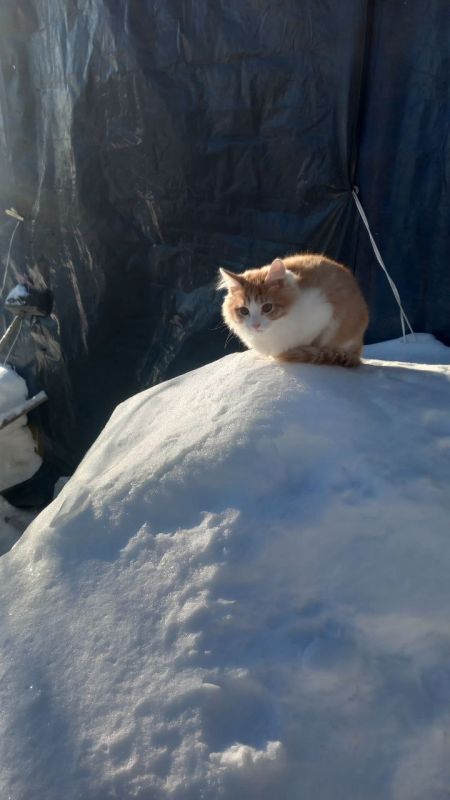 �� ������� 24 ������� �� ���������� ������� ��������� ������