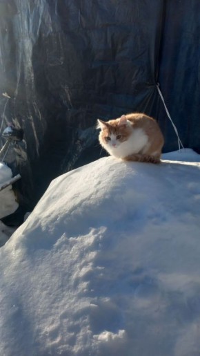 Во вторник 24 февраля на территории области ожидаются осадки