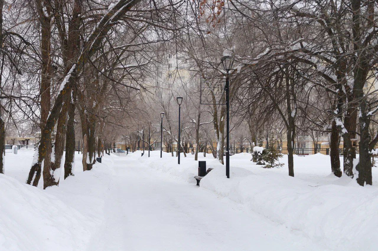 Птицы уже поют о весне Птицы уже поют о весне