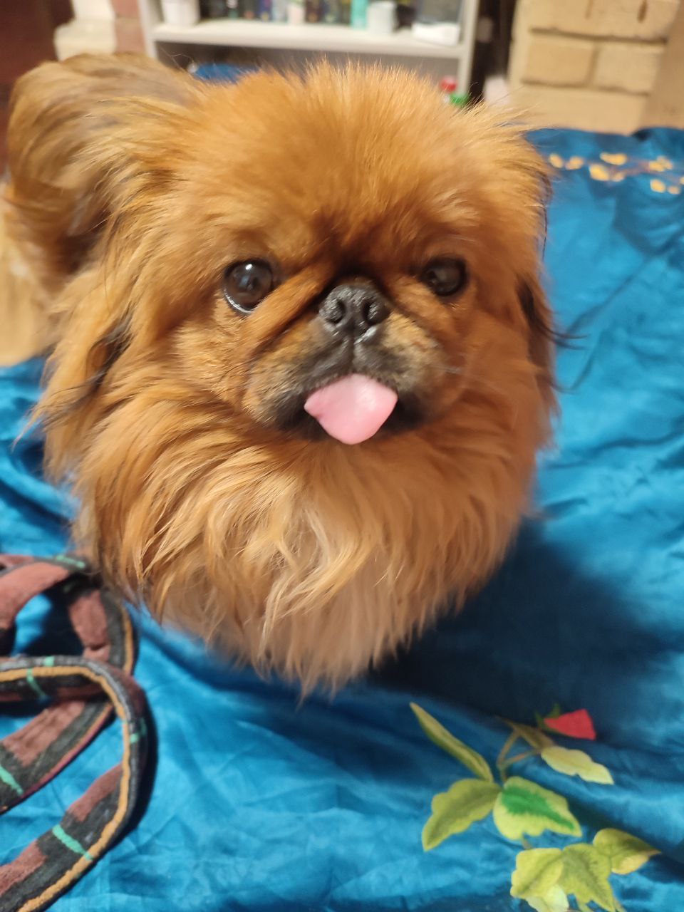 В среду 25 февраля 2026 года на территории области - облачная погода с прояснениями