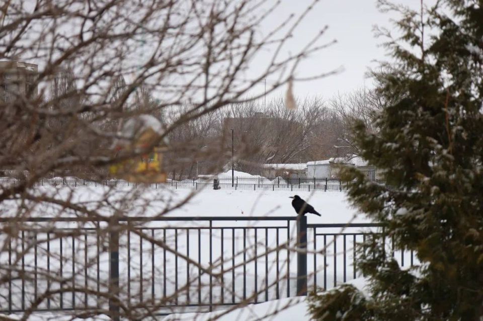 ���� ������ ������� ������ � ����