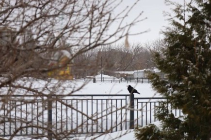 ���� ������ ������� ������ � ����