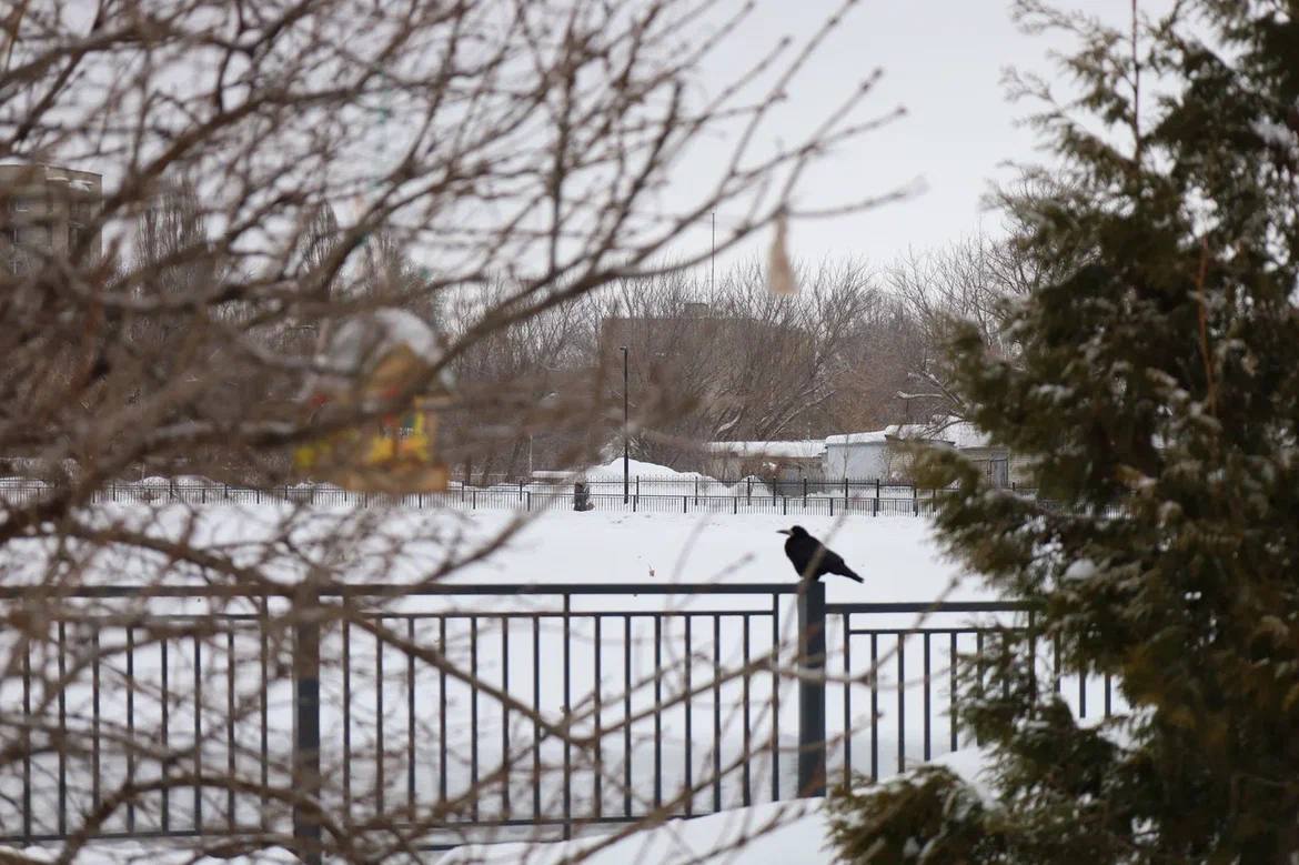 Лучи солнца озаряют дорогу в март