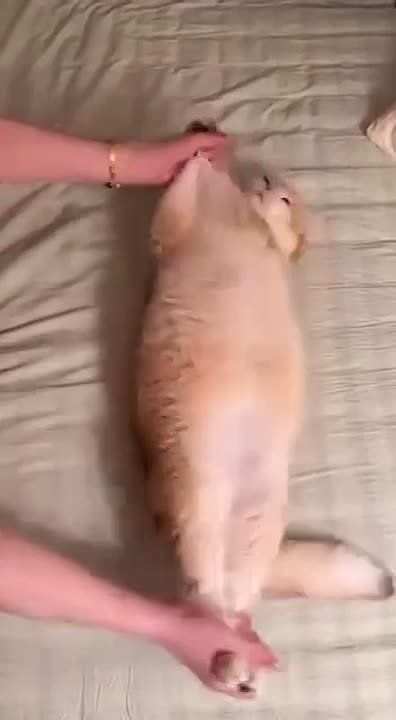 � �� ������� ������� ����?